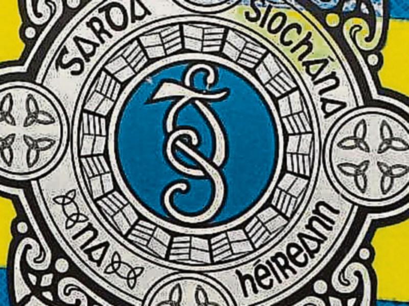 Gardai investigate damaging of car in Carrick-on-Suir
