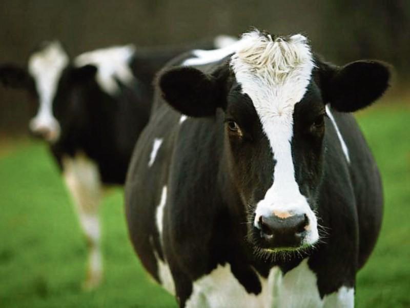 Tipperary farming: milk price increase for June is 'over due'