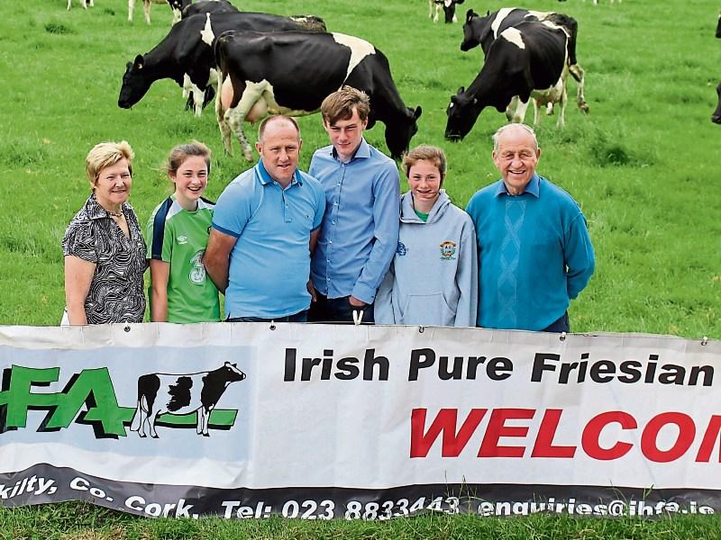 Tipperary farm outside Fethard to host Friesian open day