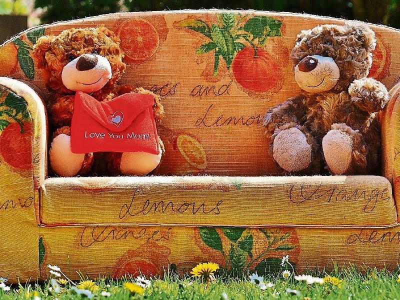 Teddy bears' picnic in Cashel