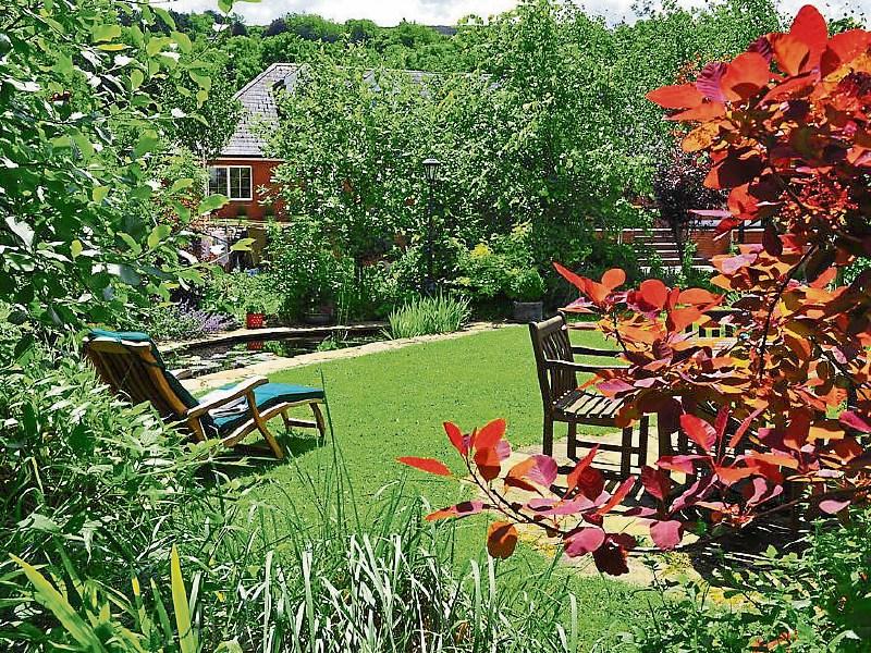 Clonmel - Petrovska Garden