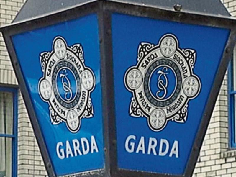 Garda appeal for public's help with Tipperary hit and run death investigation 