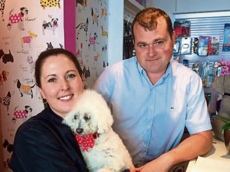 Dog Groomers