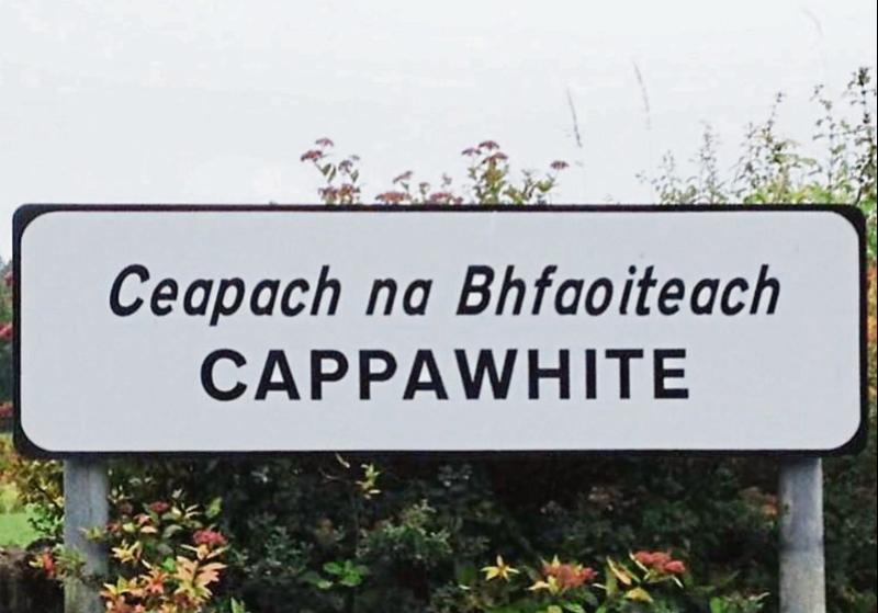 Big Parish Clean Up planned in west Tipperary village for Saturday next