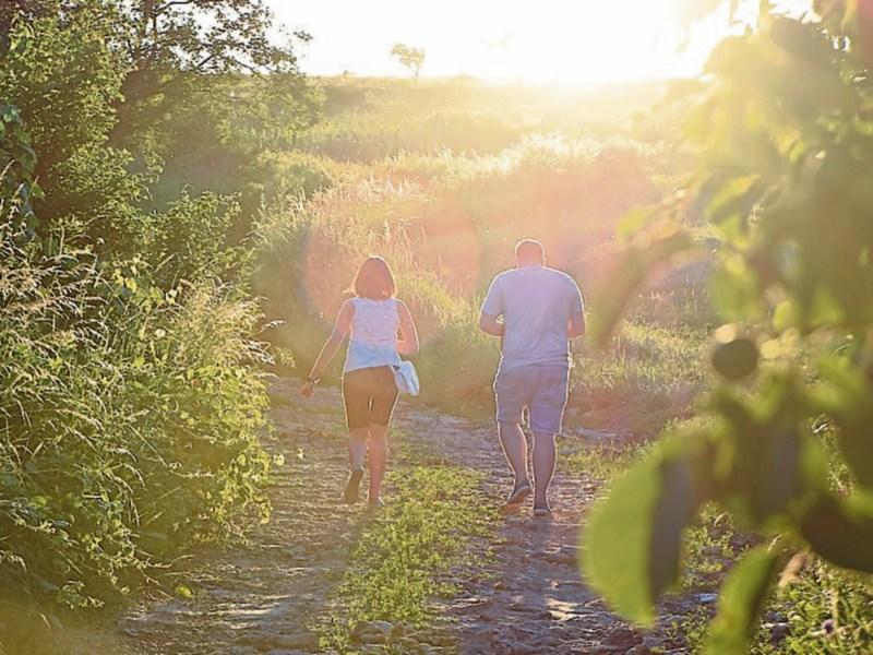 Nature walk in Tipperary to celebrate National Heritage Week