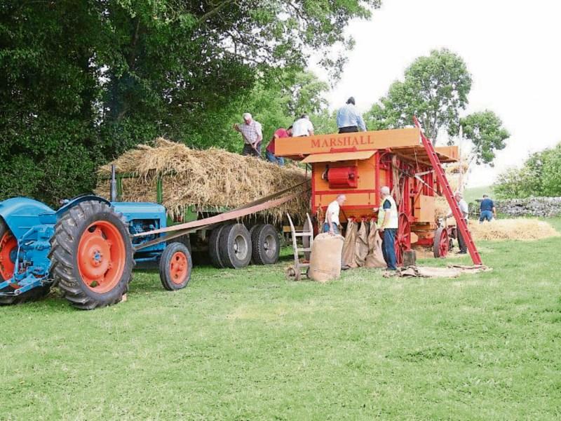 Enjoy the Black Bull Threshing Festival in Sharavogue, Birr, next Sunday