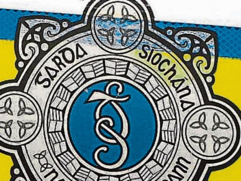 Gardai seize shotgun, ammunition and drugs in Clonmel search