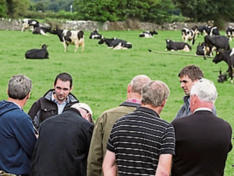 Minister reveals plans for renewable heat incentives at Tipperary Energy in Agriculture event
