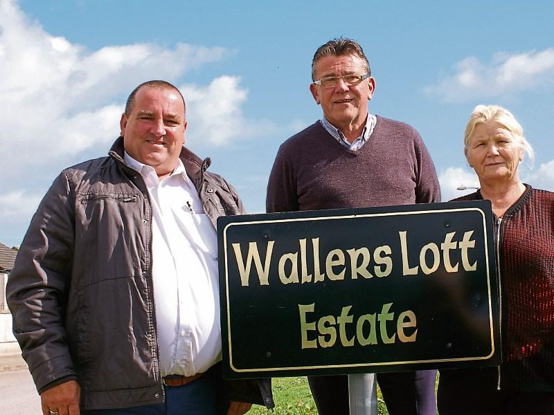 Tipperary Travellers estate transformed by clean-up