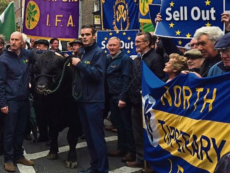 Tipperray farming: Government urged to use French 'window of opportunity' to delay Mercosur