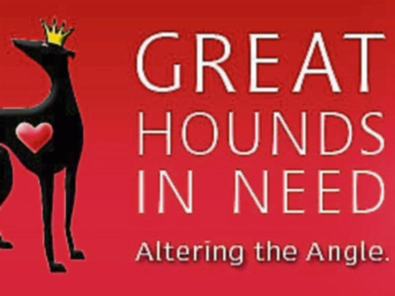 Clonmel pet charity to benefit from shop fundraiser Tipperary Live