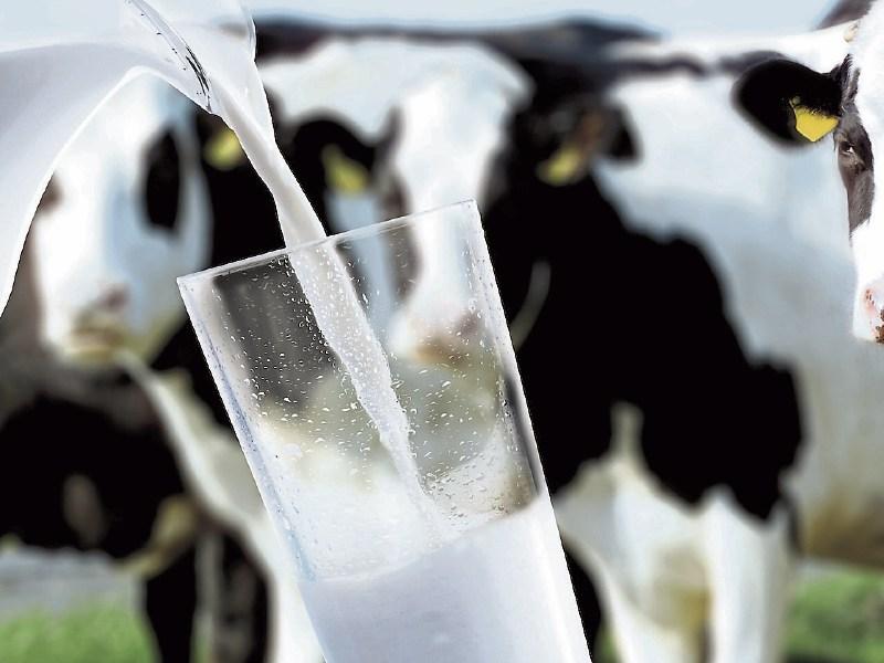 Tipperary farming: dairy summit told Europe and US are leading milk price recovery