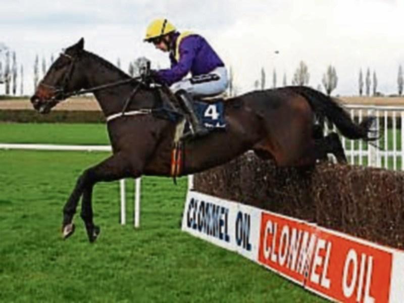 Clonmel Oil Chase at Clonmel races attracts top quality field