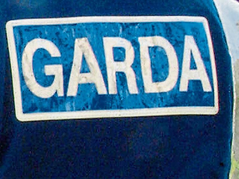 Co. Tipperary man scared away burglars trying to break into his house 