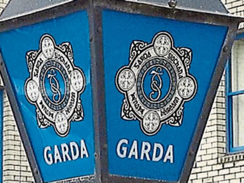Car stolen from Co. Tipperary village