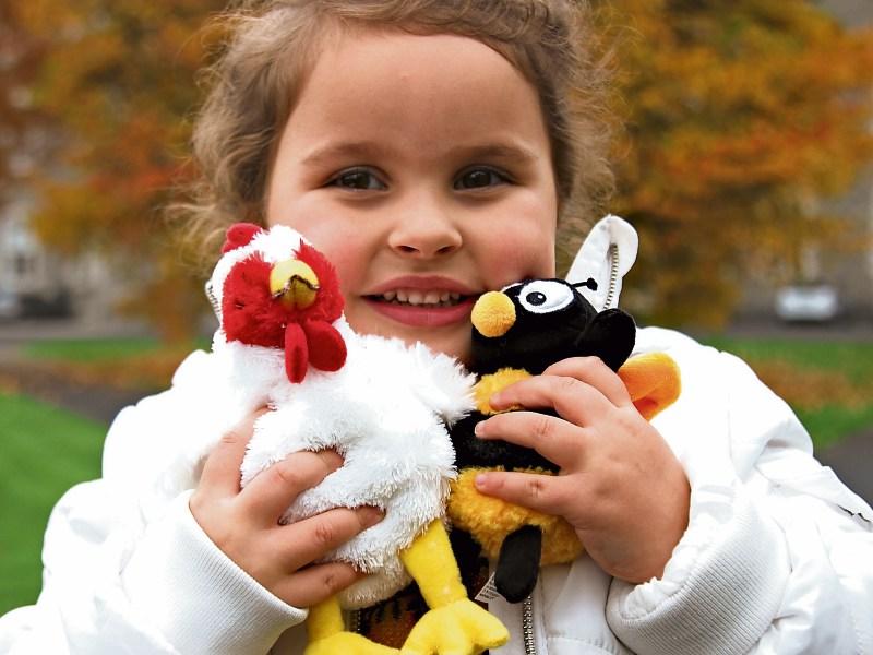 Tipperary people support families in developing world with Christmas gifts