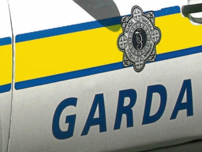 Cancellation of garda overtime a 'reckless blunder' - McGrath