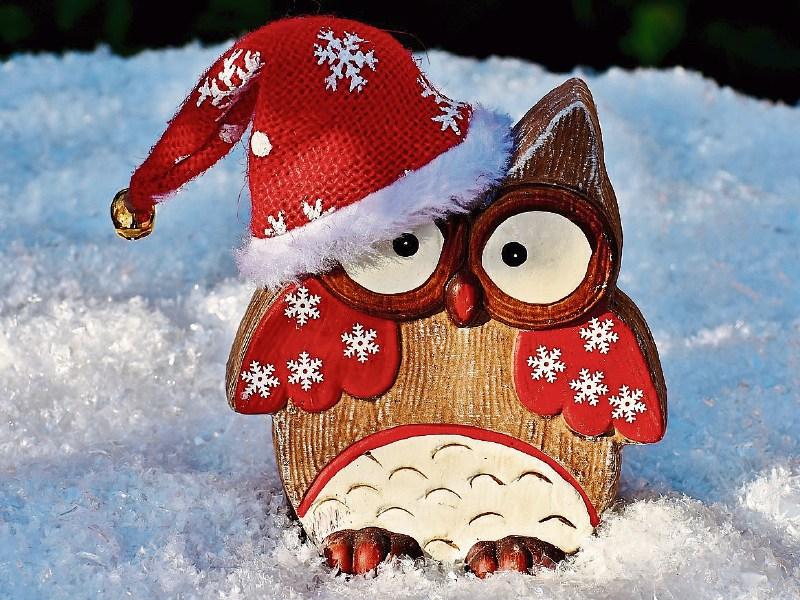 Stop here for Christmas in Tipperary!