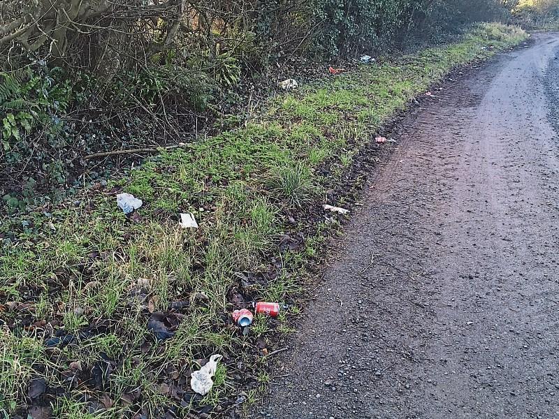 Litter louts are 'destroying rural landscape'