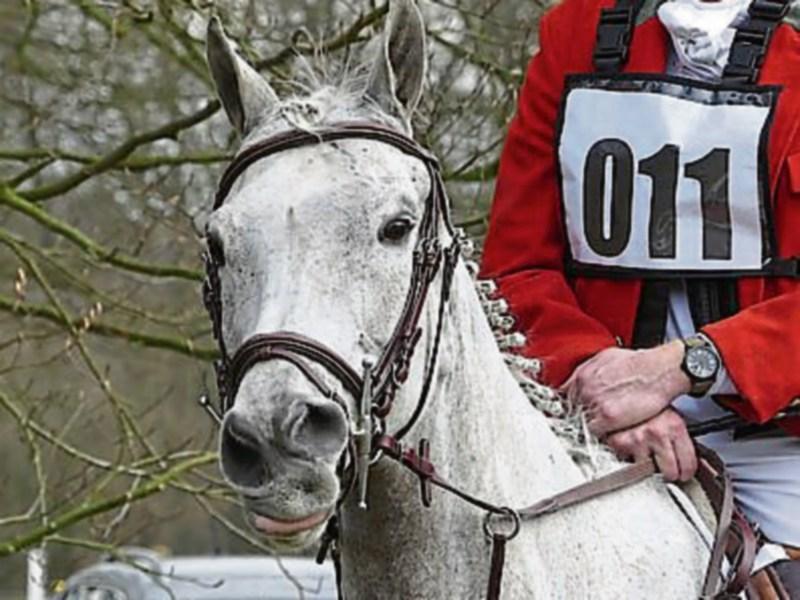 Tipperary charities to benefit from Premier Harriers' night time hunt and walk