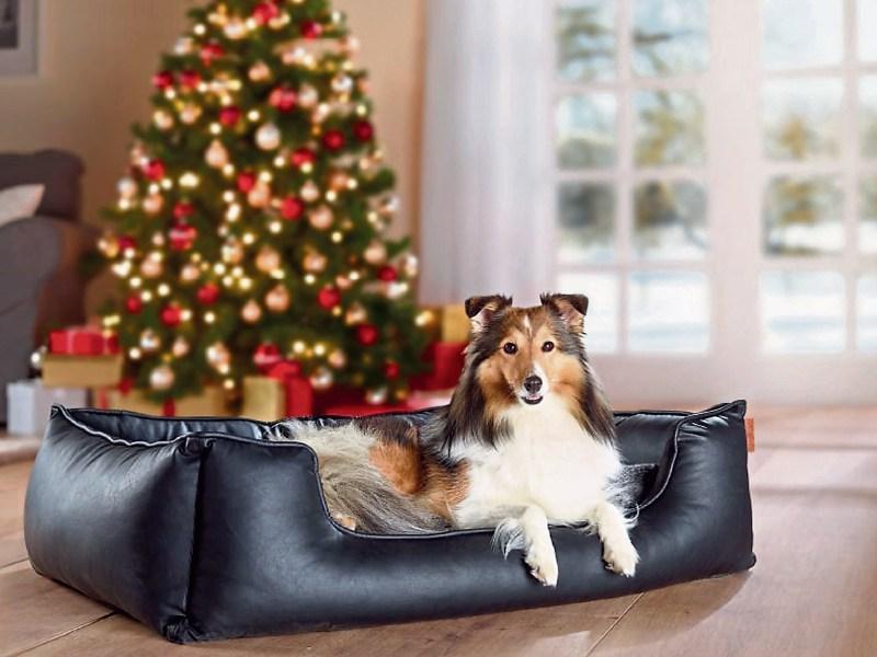 Tipp pet owners spending up to €120 on pet Christmas presents!