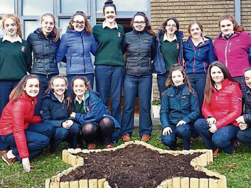 Carrick-on-Suir students plant crocuses in memory of Jewish children murdered in the Holocaust