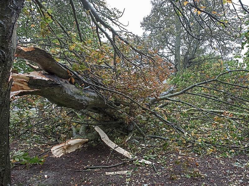 Tipperary storm alert - Storm Dylan to batter the county on Saturday and Sunday