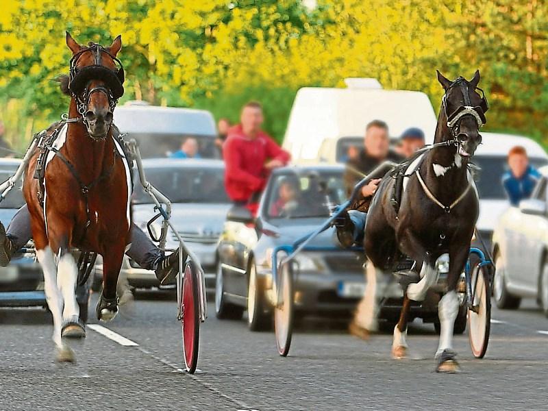 “Minister confirms Sulky awareness courses planned for Tipperary