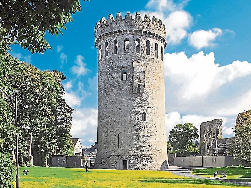 Nenagh 800 cancels events due to Covid-19