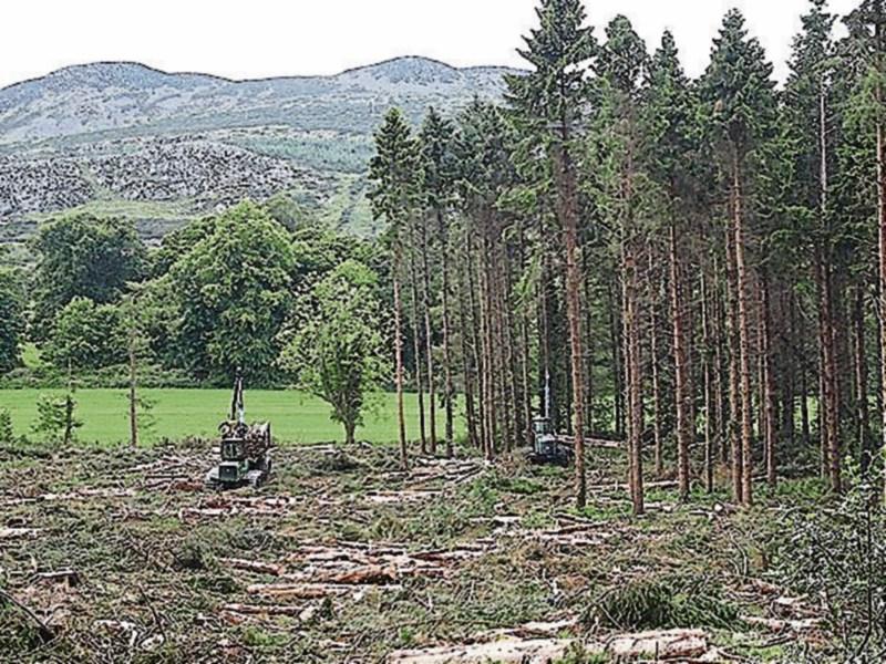 Commencement of 2018 Forestry Premium Payments Announced