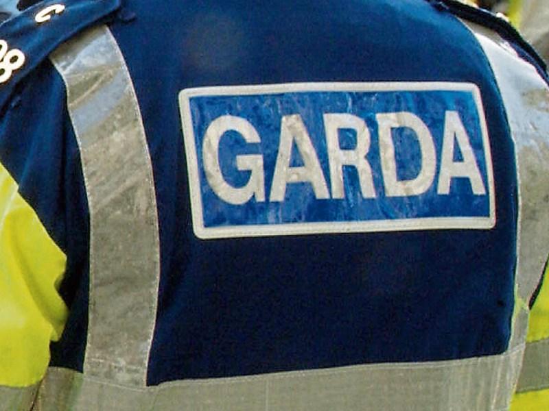 Gardai appeal for help in tracing jeep used in aggravated burglary near Carrick-on-Suir