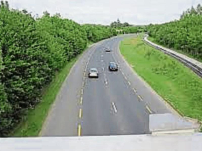 Gardai round up stray horses wandering on Clonmel Bypass 