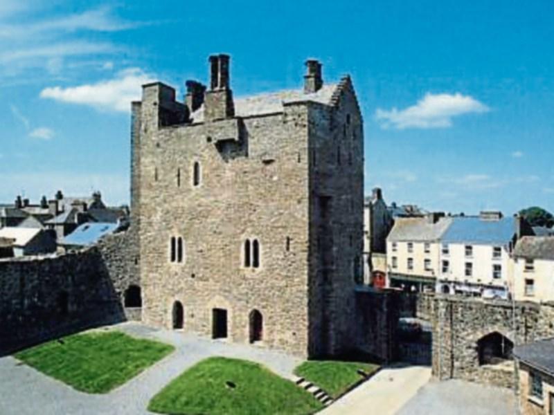 Roscrea will get a Town Regeneration Officer