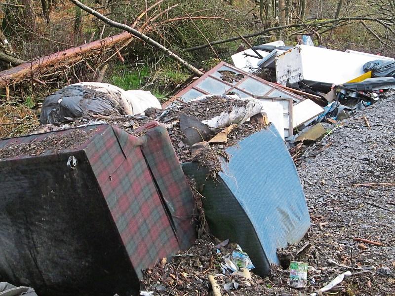 Tipperary dumping: Nenagh's Cllr Seamus Morris slams  'environmental terrorist