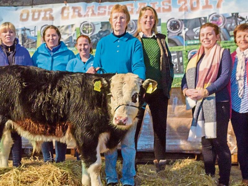Tipp farmers invited to donate cattle for Cashel Mart auction in aid of Alzheimer Society 