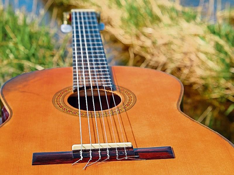 Musically talented Tipperary families 