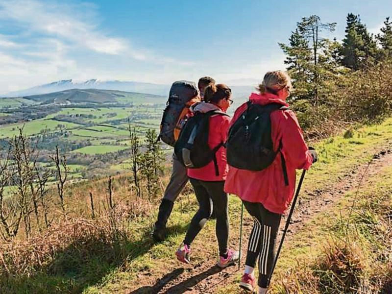 Tipperary rural development: IFA rejects proposed framework plan