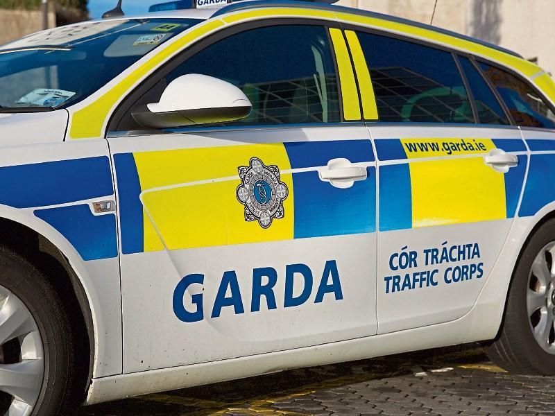 Gardaí stopped two drivers in Roscrea within moments of each other, and here's what happened next