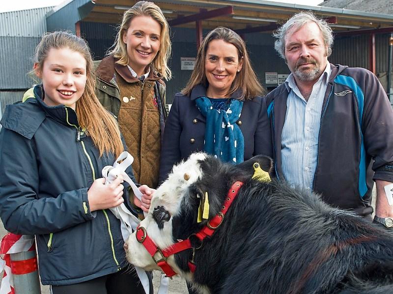 Amy Coffey holding Ray D'Arcy the Hereford bullock; Alison De Vere Hunt, Catherine Bartels and John O'Brien at Cashel Mart for the fundraising auction. 