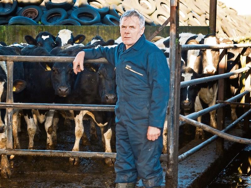 Tipperary farming: Glanbia milk price stays at the December level
