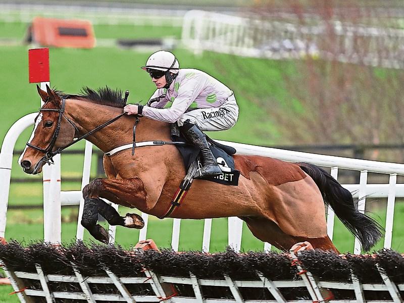 Cheltenham preview - our top tipster names the horses to look out for at the festival