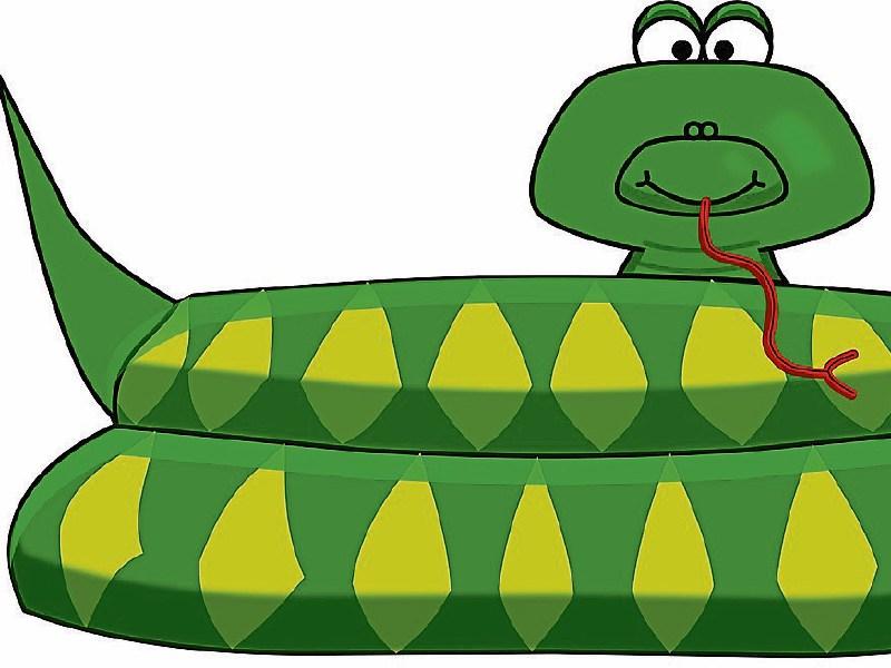 Clonmel to host St. Patrick's Day Snake Hunt