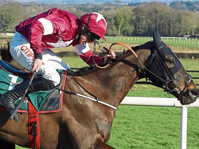 Tipperary punter scoops €10,000 at Cheltenham after picking four winners