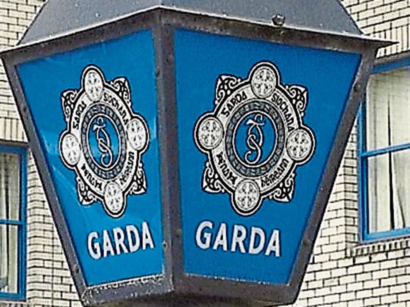Gardai appeal for help as major search continues for missing Carrick-on-Suir teenager