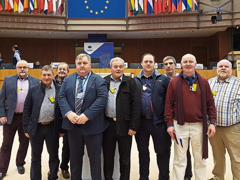 Nenagh delegation visits EU committee to discuss threats to rural towns