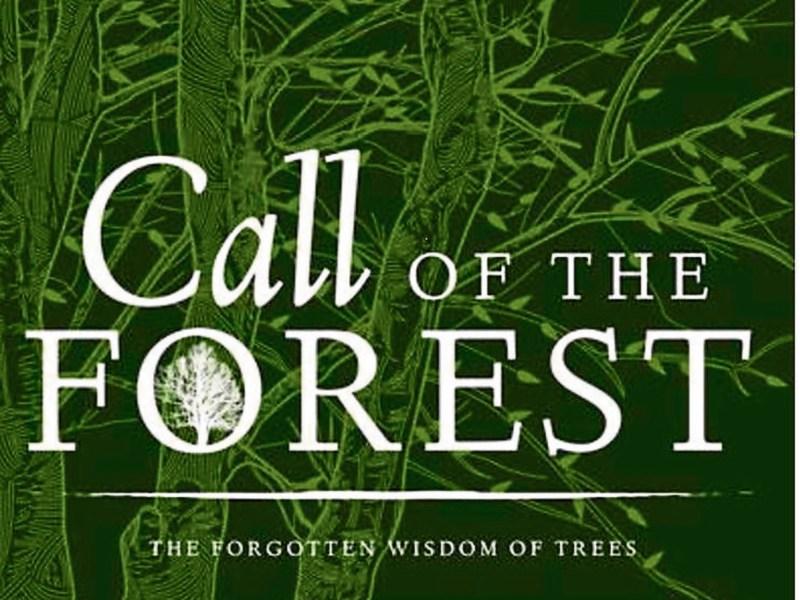 Call of the Forest