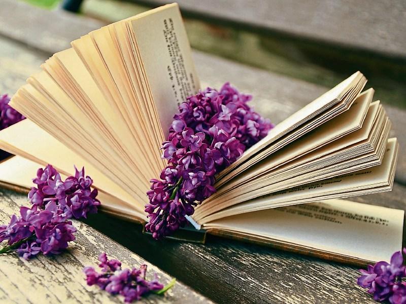 One Book - One Community