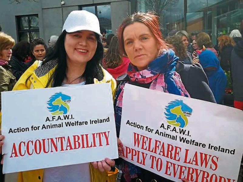 Clonmel march to protest at horse cruelty and call for horse warden