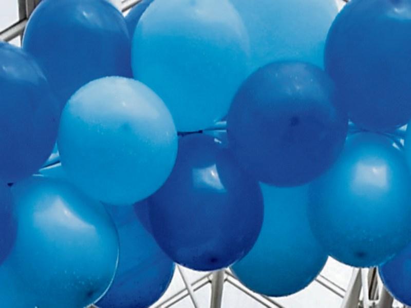 Knocklofty Rural Resource Centre Open Day