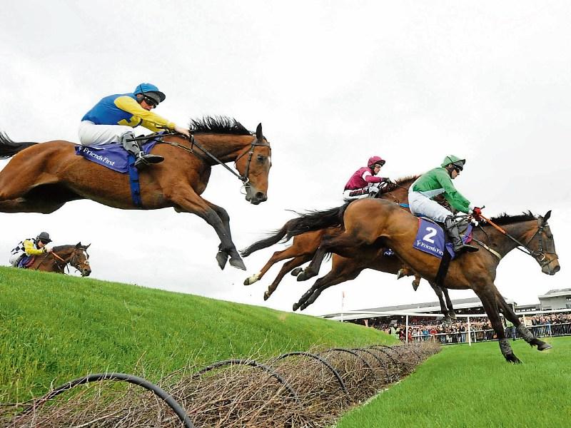THE PUNTER'S EYE: Punchestown Tips for Ladies Day on Friday, April 27